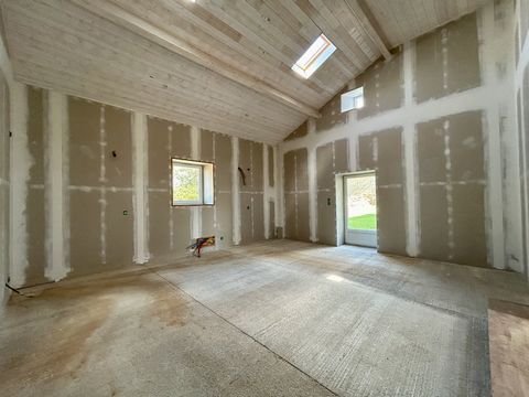 photo no. 9