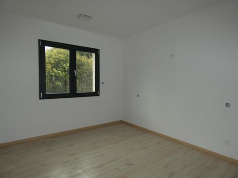 photo no. 8