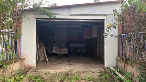 photo no. 11
