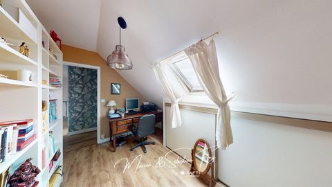 photo no. 11