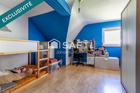 photo no. 16