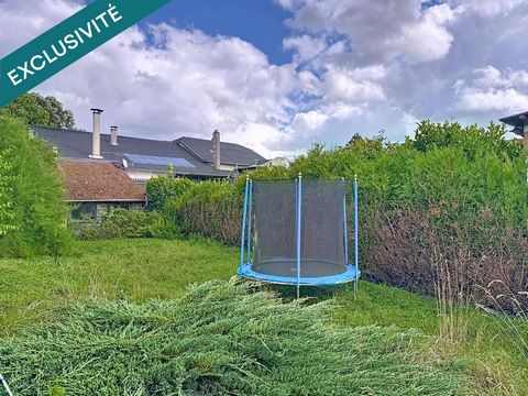 photo no. 11