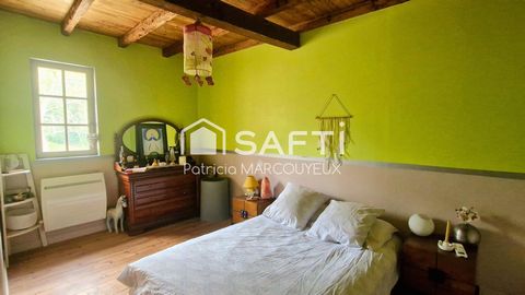 photo no. 14