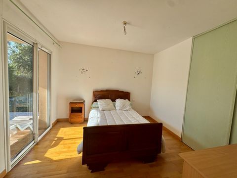 photo no. 8