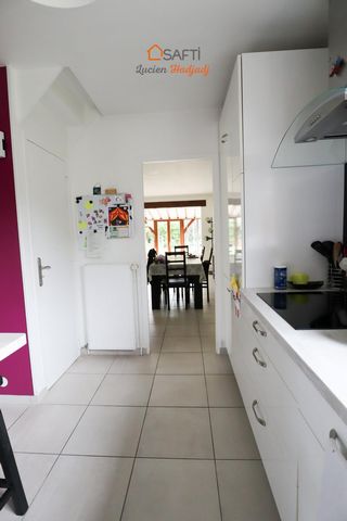 photo no. 14