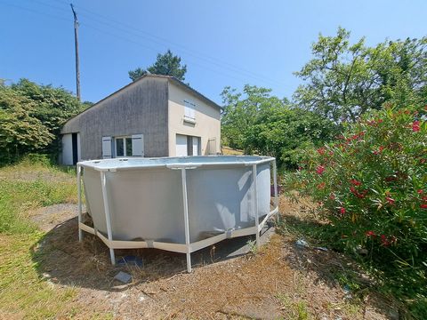 photo no. 18