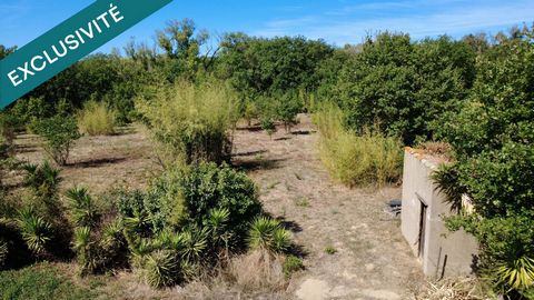 Terrain de loisir ombragé NON HABITABLE et NON CONSTRUCTIBLE 4 300 m², Mazet et Ruisseau