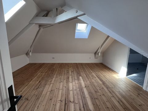 photo no. 12
