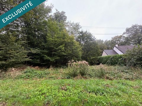 Terrain constructible au cœur de la Puisaye