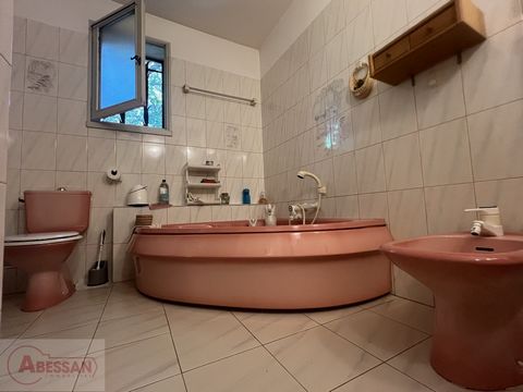 photo no. 10