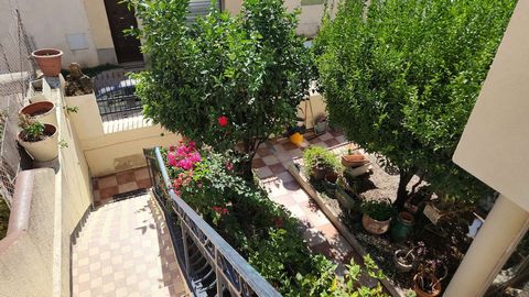 photo no. 11
