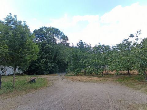 photo no. 2
