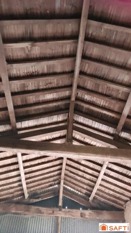 photo no. 9