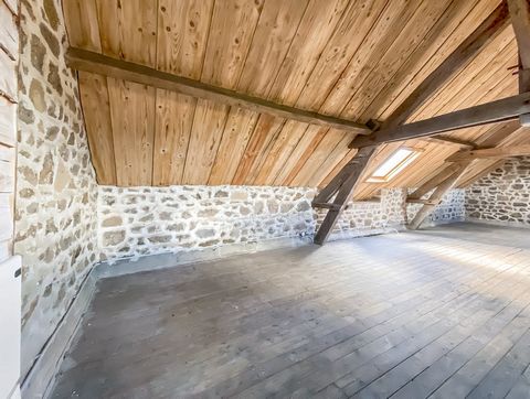 photo no. 17