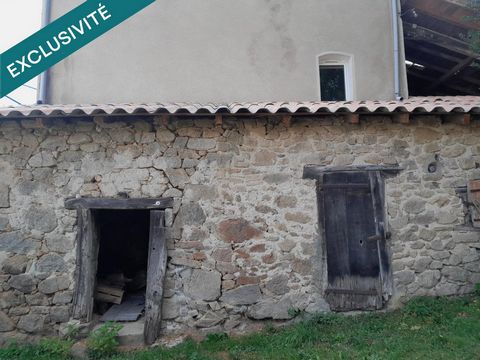 photo no. 9
