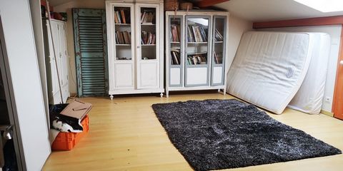 photo no. 15