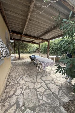 photo no. 4