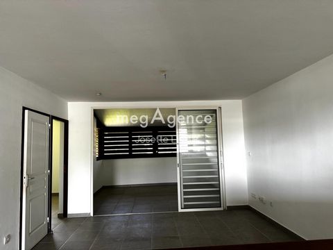 photo no. 11