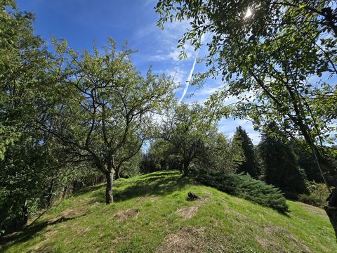 photo no. 10