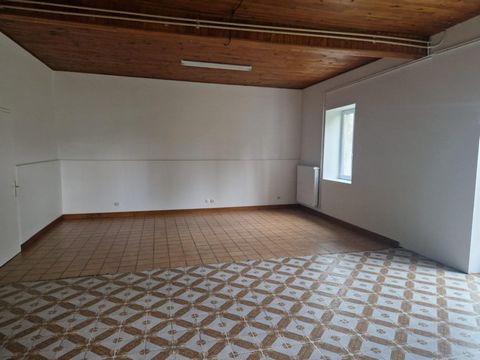 photo no. 4