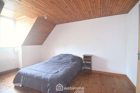 photo no. 11