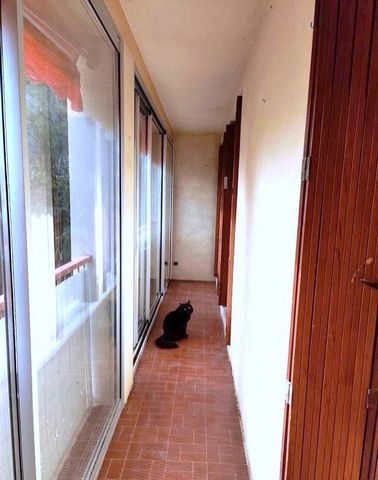 photo no. 7