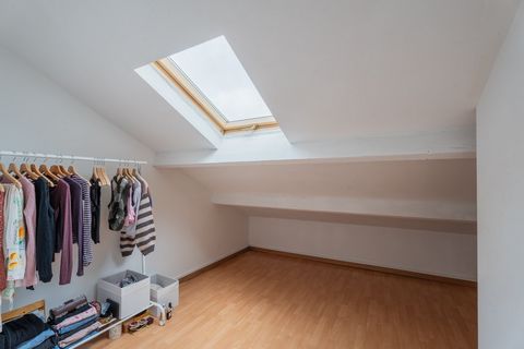 photo no. 6