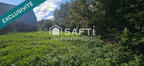 photo no. 13