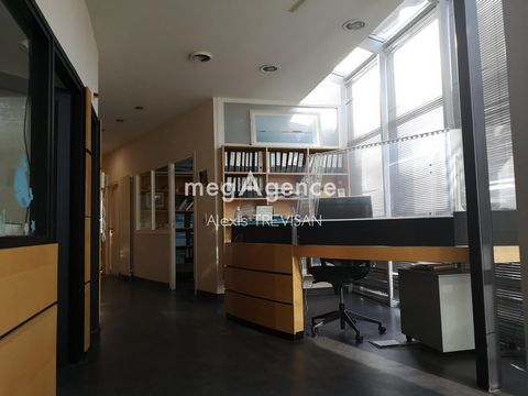 photo no. 9