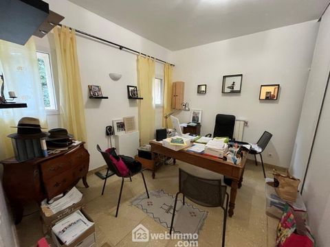 photo no. 11