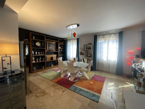 photo no. 11