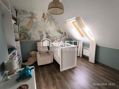 photo no. 9