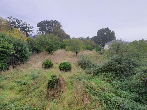 photo no. 6