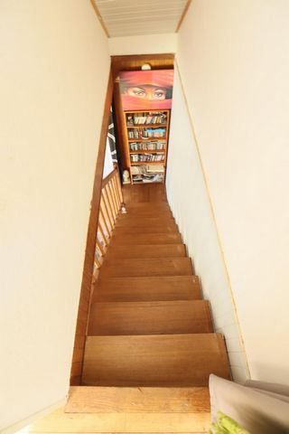 photo no. 6