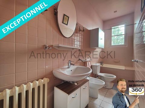 photo no. 10