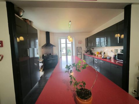 photo no. 13