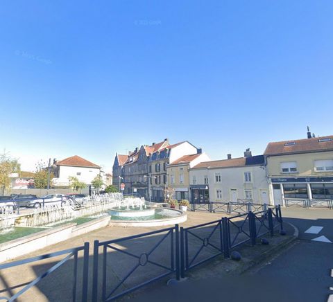 Maison 2 en 1 : local commercial pour activité professionnelle + habitation, avec jardin, terrasse