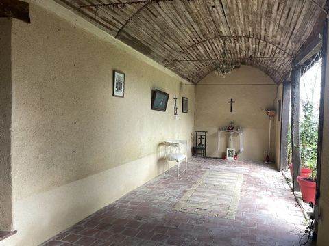 photo no. 10