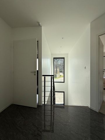 photo no. 6