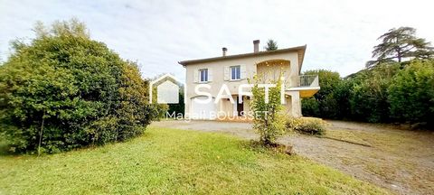 photo no. 11