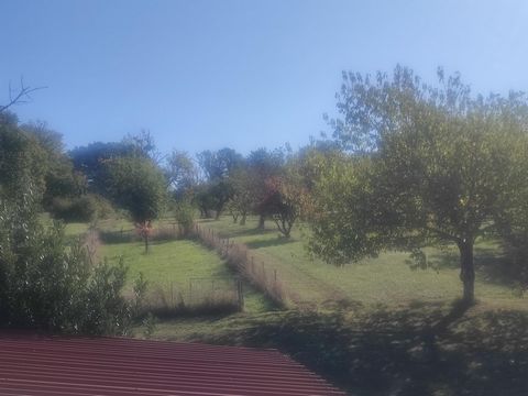 photo no. 16