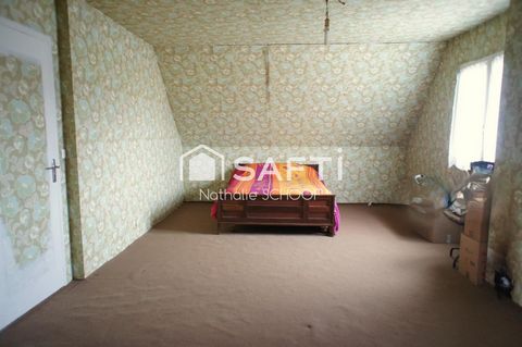 photo no. 8