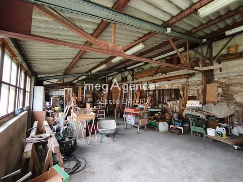 photo no. 11