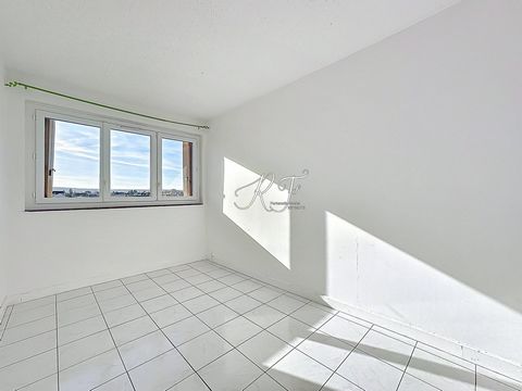 photo no. 5