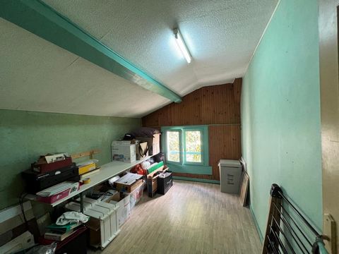 photo no. 2