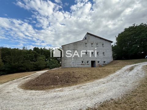 photo no. 15