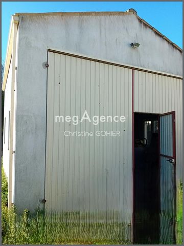 photo no. 3