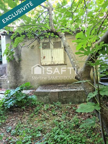 photo no. 3