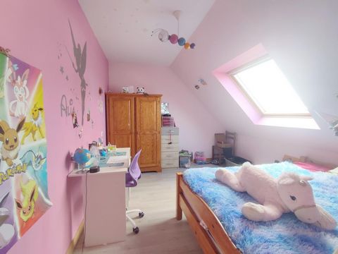 photo no. 11