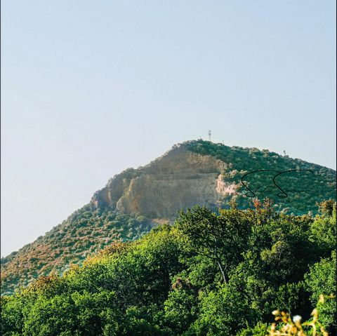 photo no. 4